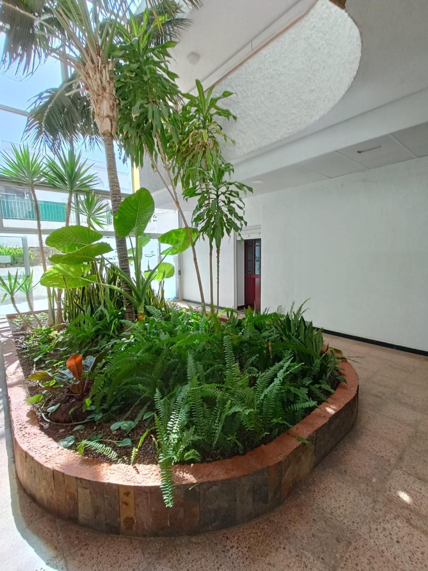 Apartament Playa Del Ingles 5 Min Walk From Yumbo! 512 Maspalomas  Zewnętrze zdjęcie